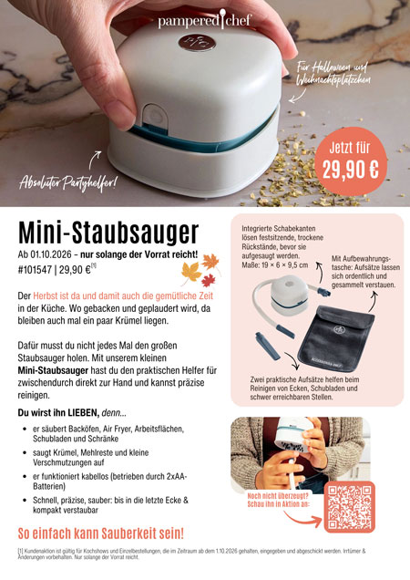 102026_Mini-Staubsauger_DEAT_RE-30092026